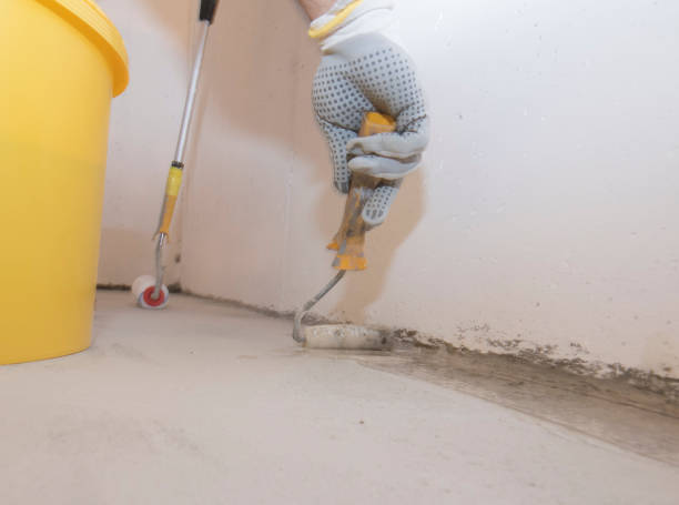 Real Estate Pest Inspections in Trenton, IL